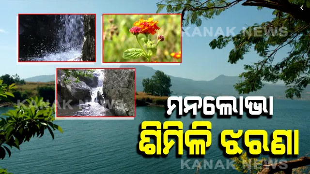 ମନମୁଗ୍ଧକର ପରିବେଶ ସାଙ୍ଗକୁ ଜଙ୍ଗଲୀ ଫୁଲର ବାସ୍ନା : ଶୀତ ଦିନରେ ପର୍ଯ୍ୟଟକଙ୍କ ମନ ମୋହୁଛି ଶିମିଳି ଝରଣା