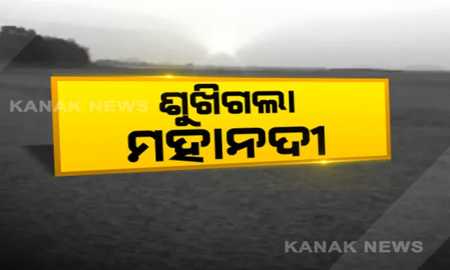 ବାଙ୍କୀରେ ଶୁଖିଲା ପଡିଛି ମହାନଦୀ । ପରିବା ଚାଷୀ ପ୍ରଭାବିତ, ପାଣି ଅଭାବରୁ ଟାଙ୍ଗରା ଭୂଇଁ ପଡିଛି ନଈପଠା । ଜୀବିକା ହରାଇ ଚିନ୍ତାରେ ନାଉରିଆ ।