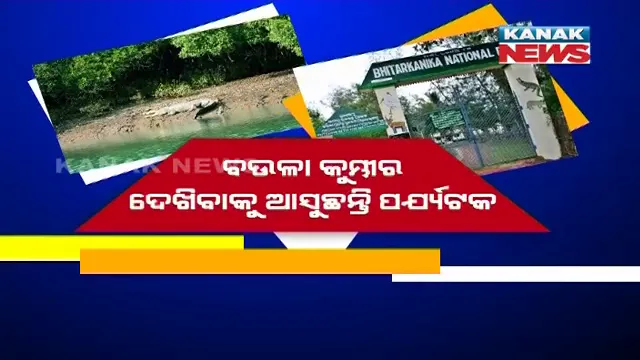 ଶୀତଋତୁରେ ଭିତରକନିକାରେ ଭିଡ : ବଉଳା କୁମ୍ଭୀର ଦେଖିବାକୁ ଆସୁଛନ୍ତି ପର୍ଯ୍ୟଟକ