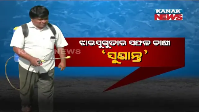 ସଫଳ ଚାଷୀ ସୁଶାନ୍ତ : ଅର୍ଥଶାସ୍ତ୍ରରେ ସ୍ନାତକୋତ୍ତର କରିବା ପରେ ଚାକିରି ପଛରେ ନଧାଇଁ କରୁଛନ୍ତି ଚାଷ,ନିଜ ସହ ୧୦ ଜଣଙ୍କୁ କରିଛନ୍ତି ସ୍ୱାବଲମ୍ବୀ