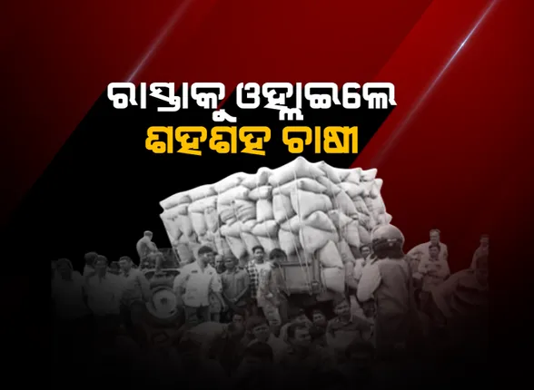 ମିଳୁନି ଟୋକନ । ଶହ ଶହ କ୍ୱିଂଟାଲ ଧାନ ରଖି କଟକ ସାଲେପୁର ମହଣ ଅଚଂଳର ଚାଷୀଙ୍କ ଧାରଣା