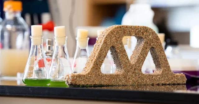 ବୈଜ୍ଞାନିକଙ୍କ ବଡ ଉଦ୍ଭାବନ । ନିର୍ମାଣ କଲେ ଜୀବନ୍ତ କଂକ୍ରିଟ, ଘରର ଫାଟକୁ ଆପଣାଛାଏଁ ଯୋଡିଦେବ ।