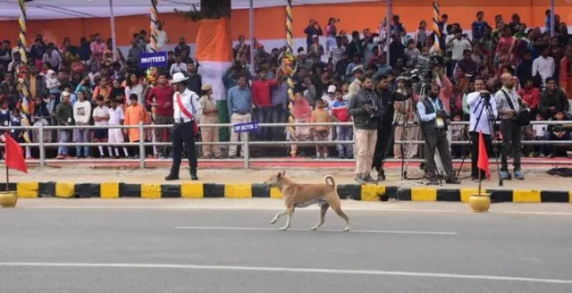 ଆଉ କେତେ ଦିନ? ୭୧ ତମ ସାଧାରଣତନ୍ତ୍ର ଦିବସ ପାଳିତ, କେଉଁଠାରେ କାର୍ଯ୍ୟକ୍ରମ ମଧ୍ୟରେ କୁକୁର ପସିଗଲା ତ କେଉଁଠି ପତାକା ଛିଣ୍ଡି ତଳେ ପଡିଲା