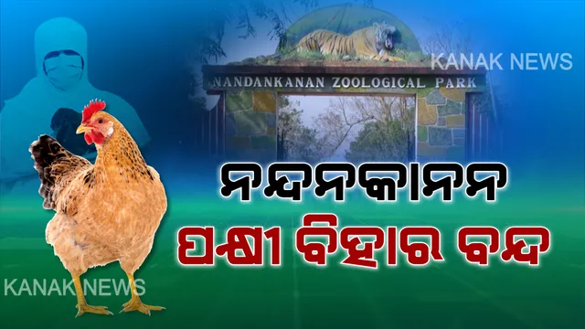 ଭୁବନେଶ୍ୱରରେ ବାର୍ଡ ଫ୍ଲୁ ଆତଙ୍କ ! ସୁରକ୍ଷା ଦୃଷ୍ଟିରୁ ବନ୍ଦ ହେଲା ନନ୍ଦନକାନନ ପକ୍ଷୀ ବିହାର । ଆସନ୍ତାକାଲି ଠାରୁ ଅନିର୍ଦ୍ଦିଷ୍ଟ କାଳ ଯାଏଁ ବନ୍ଦ ପାଇଁ ନିର୍ଦ୍ଦେଶ