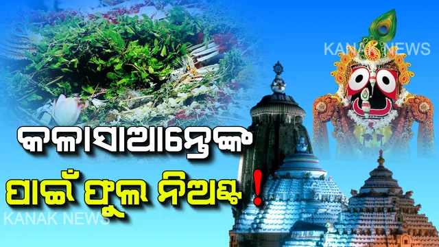 ଫୁଲ ରସିଆଙ୍କୁ ଫୁଲ ଅଭାବ ! ସୁନ୍ଦର ହେଉଛି ବଡଦାଣ୍ଡ, ହେଲେ ବଡ଼ଠାକୁରଙ୍କ ପାଇଁ ଅଭାବ ହେଉଛି ଫୁଲ । ନୀତିକାନ୍ତି ଓ ବେଶ ପାଇଁ ଫୁଲ କମ ପଡୁଥିବାରୁ ସେବାୟତଙ୍କ ଅସନ୍ତୋଷ