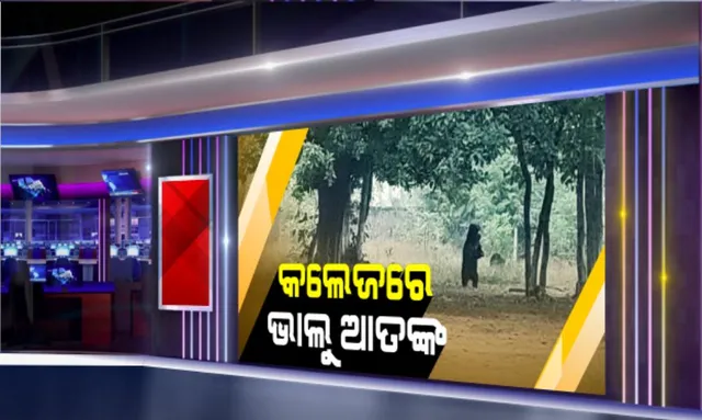 କଲେଜ ଭିତରେ ପଶିଲା ଭାଲୁ । ଭାଲୁ ଭୟରେ କଲେଜ ଯାଉନାହାନ୍ତି ଛାତ୍ରଛାତ୍ରୀ