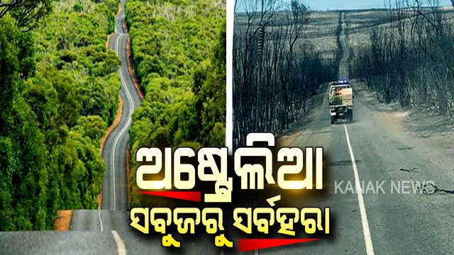 ଅଷ୍ଟ୍ରେଲିଆର ଆର୍ତ୍ତ ଚିତ୍କାର, ପ୍ରକୃତି ପିଠିରେ ପୂଳା ପୂଳା ପାଉଁଶ । ଆତଙ୍କ ଖେଳାଇ ଅଗ୍ନି ଆସିଲା, ସବୁଜ ରାଣୀର ସର୍ବଶ୍ୱ ଲୁଟିନେଲା । ନିଆଁର ଏମିତି ତାଣ୍ଡବ ଚିତ୍ର, ଆପଣଙ୍କୁ ସ୍ତବ୍ଧ କରିଦେବ ।