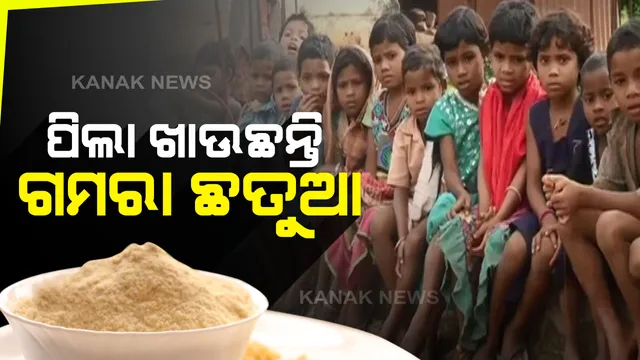 କୁନି କୁନି ପିଲା ଖାଉଛନ୍ତି ଗମରା ଛତୁଆ : ମାଲକାନଗିରିର ଅଧିକାଂଶ ଅଙ୍ଗନବାଡ଼ିରେ ପିଲାଙ୍କୁ ଦିଆଯାଉଛି ନିମ୍ନମାନର ଛତୁଆ, ରାଜ୍ୟ ପରୀକ୍ଷାଗାରରୁ ମିଳିଲା ସାଂଘାତିକ ରିପୋର୍ଟ