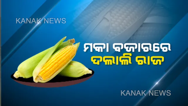 ମକା ବ୍ୟବସାୟୀଙ୍କ ମୁଣ୍ଡରେ ଚଡ଼କ! ଚାଷୀଙ୍କୁ ମଣ୍ଡିରୁ ମିଳୁନି ଉଚିତ୍ ଦାମ, ଅଭାବୀ ବିକ୍ରିର ଫାଇଦା ନେଉଛି ଦଲାଲ । ପଡୋଶୀ ରାଜ୍ୟକୁ ଚାଲାଣ କରି ହେଉଛି ମାଲାମାଲ ।
