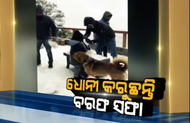 ସାମ୍ନାକୁ ଆସିଲା ଧୋନୀ ଓ ସାକ୍ଷୀଙ୍କ ବରଫ ସଫା କରୁଥିବାର ଚିତ୍ର । କୁନି ଝିଅ ସହିତ ବାଲକୋନୀରେ ଥିବା ବରଫ ସଫା କରି ଗଢୁଛନ୍ତି ବରଫ ମୂର୍ତ୍ତି