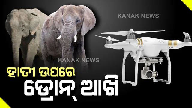 ଡ୍ରୋନ କ୍ୟାମେରା ସାହାଯ୍ୟରେ ଖୋଜାଯାଉଛି ହାତୀ : ଯାଜପୁରରେ ହାତୀ ଉପଦ୍ରବକୁ ନେଇ ତାତିଲେ ଲୋକେ,ଦାନଗଦି ମେଡିକାଲ ସମ୍ମୁଖରେ ରାସ୍ତାରୋକ