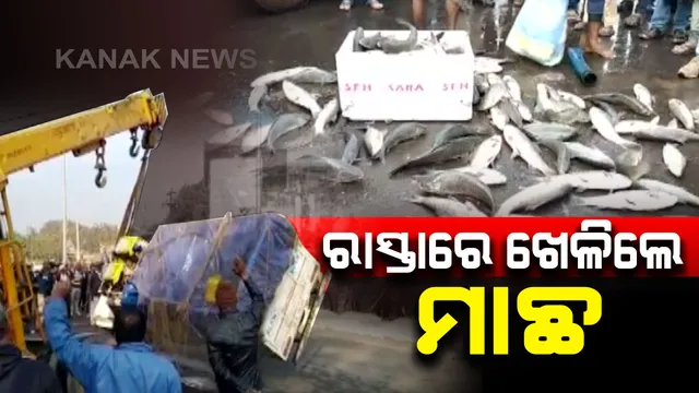 ବନ୍ଦ ପାଳନ ବେଳେ ରାଉରକେଲା ବିଶ୍ରା ଛକରେ ଓଲଟିଲା ମାଛ ବୋଝେଇ ପିକଅପ୍ ଭ୍ୟାନ । ରାସ୍ତା ଉପରେ ଖେଳିଲେ ଜିଅନ୍ତା ମାଛ । ଭାରସାମ୍ୟ ହରାଇ ଓଲଟି ପଡିଥିଲା ଗାଡି