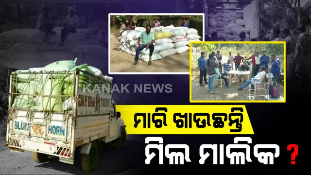 ଧାନ ମଣ୍ଡିରେ ଅବ୍ୟବସ୍ଥା । ମଣ୍ଡିକୁ ନଆସି ମିଲକୁ ଯାଉଛି ଚାଷୀଙ୍କ ଧାନ, ମିଲମାଲିକ ଓ ଲ୍ୟାମ୍ପ କର୍ମଚାରୀଙ୍କ ସଲାସୁତୁରାରେ ଚାଲିଛି ଗଫଲତି ।