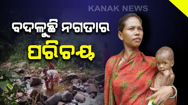 ବଦଳୁଛି ନଗଡାର ପରିଚୟ: ଦିନେ ଜଙ୍ଗଲରୁ କାଠ ସଂଗ୍ରହ କରି ବଂଚୁଥିଲେ ଆଜି କିନ୍ତୁ ଗଛ ଲଗାଇ ପୋଷୁଛନ୍ତି ପେଟ; ବିଭିନ୍ନ କ୍ଷେତ୍ରରେ କାମ କରି ପାରଦର୍ଶିତା ଦେଖାଉଛନ୍ତି ନଗଡାବାସୀ