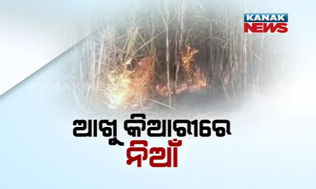 ଚାଷୀ ମୁଣ୍ଡରେ ଚଡ଼କ! ଆଖୁ କିଆରୀକୁ ଖାଇଗଲା ଅଗ୍ନି, ୪୦ ଏକର ଆଖୁ ଜମିରେ ନିଆଁ ଲାଗିବା ଫଳରେ ନଷ୍ଟ ହୋଇଗଲା ଫସଲ ।