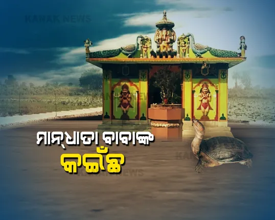 ଚର୍ଚ୍ଚାରେ ସମ୍ବଲପୁରର ‘ମାନେଶ୍ୱର’ ଶୈବପୀଠ । କାହିଁ କେତେ କାଳୁ ପୂଜାପାଉଛନ୍ତି ମାନ୍ଧାତା ବାବା...ଆକର୍ଷଣର କେନ୍ଦ୍ରବିନ୍ଦୁ ପାଲଟିଛି ମନ୍ଦିର ପୋଖରୀରେ ଥିବା ବିରାଟକାୟ କଇଁଛ