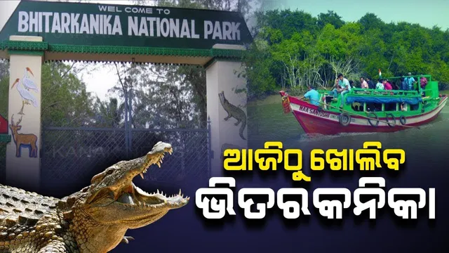 ପରିବେଶବିତଙ୍କ ପାଇଁ ଖୁସି ଖବର । ଭିତରକନିକା ଅଭୟାରଣ୍ୟରେ ୧୨ରୁ ୧୫କୁ ବଢିଲା ଧଳାକୁମ୍ଭୀର ସଂଖ୍ୟା । ଆଜି ଖୋଲିବ ଭିତରକନିକା