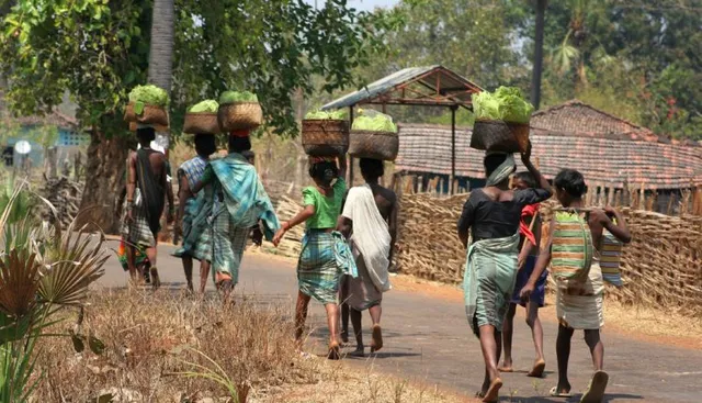 ଆଦିବାସୀ ଅଞ୍ଚଳରେ ସ୍ୱତନ୍ତ୍ର କାର୍ଯ୍ୟକ୍ରମ, ଖର୍ଚ୍ଚ ହୋଇପାରିନି କେନ୍ଦ୍ରୀୟ ଅର୍ଥ