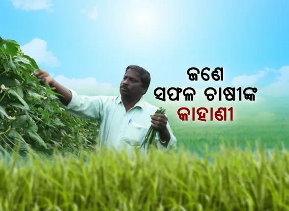ଚାଷ ଜମିରେ ୨୨ ବର୍ଷ...ଜଣେ ସଫଳ ଚାଷୀଙ୍କ କାହାଣୀ । ଚାକିରି ପଛରେ ନଗୋଡାଇ ନିଜର ୨ଏକର ଜମିରେ ଫଳାଉଛନ୍ତି ସୁନାର ଫସଲ