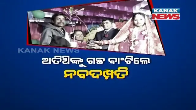 ଦମ୍ପତି ବାଂଟିଲେ ଗଛ ଚାରା । ବିବାହ ରିସେପସନ୍ ପାର୍ଟିରେ ଅତିଥିଙ୍କୁ ରିଟର୍ଣ୍ଣ ଗିଫ୍ଟରେ ଗଛ ବାଂଟିଲେ ନବଦମ୍ପତି, ବୃକ୍ଷରୋପଣର ଦେଲେ ବଡ ବାର୍ତ୍ତା ।