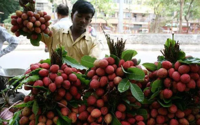 ବିହାରରେ ୧୧୦୦୦ କୋଟି ନିବେଶ କରିବ କୋକାକୋଲା କମ୍ପାନୀ : ଉପକୃତ ହେବେ ଲିଚୁ କୃଷକ ଓ ବ୍ୟବସାୟୀ