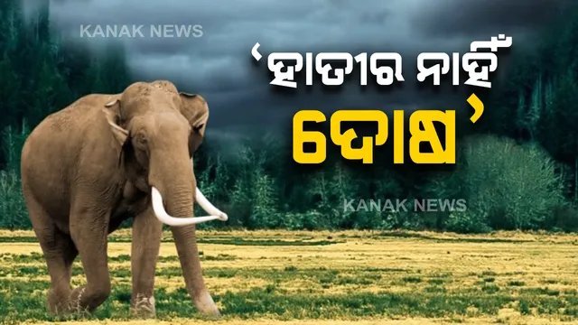 ନରହନ୍ତା ଦନ୍ତାକୁ ନେଇ ପିସିସିଏଫ ହରିଶଙ୍କର ଉପାଧ୍ୟାୟଙ୍କ ପ୍ରତିକ୍ରିୟା: କହିଲେ, ହାତୀର କୌଣସି ଦୋଷ ନାହିଁ, ଲୋକେ ସାମ୍ନାକୁ ପଳାଇ ଆସିବାରୁ ଘଟିଛି ଅଘଟଣ