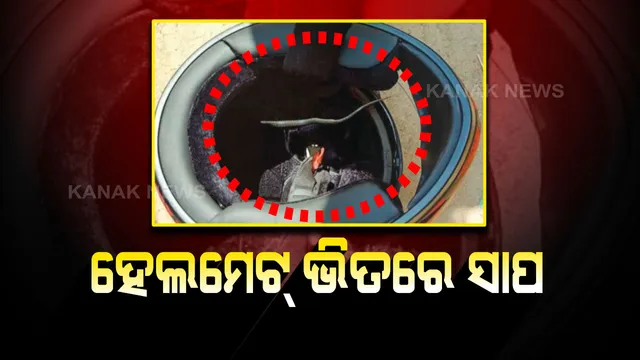 ସାପ ସହ ୧୧ କି.ମିର ଯାତ୍ରା : ହେଲମେଟ୍ ଭିତରେ ପଶିଥିଲା ବିଷାକ୍ତ ସାପ , ମରୁ ମରୁ ବଂଚିଲେ ଶିକ୍ଷକ ।