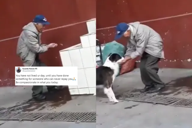 ତୃଷାର୍ତ୍ତ କୁକୁରକୁ ହାତରେ ପାଣି ପିଆଇ ଚର୍ଚ୍ଚା ସାଉଁଟିଲେ ବୃଦ୍ଧ ବ୍ୟକ୍ତି : ସୋସିଆଲ୍ ମିଡିଆରେ ଭାଇରାଲ୍ ହେଲା ମାନବିକତାର ଉଦାହରଣ ବୁଝାଉଥିବା ଏହି ଭିଡିଓ ।