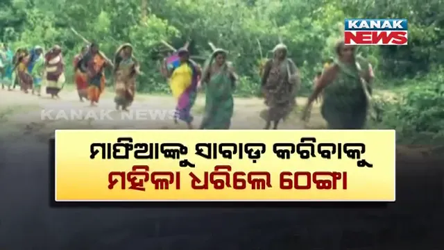 ଗାଁ ମହିଳାଙ୍କ ଜଙ୍ଗଲ ଜମି ସୁରକ୍ଷା ଚିନ୍ତା ! ମାଫିଆଙ୍କୁ ସାବାଡ଼ କରିବାକୁ ହାତରେ ଠେଙ୍ଗା ଧରି ବାହାରିଲେ ମହିଳା