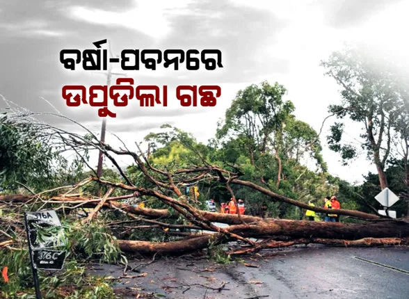 ପ୍ରାଇମ ଟାଇମ ବୁଲେଟିନ- ୨୫/୦୨/୨୦୨୦