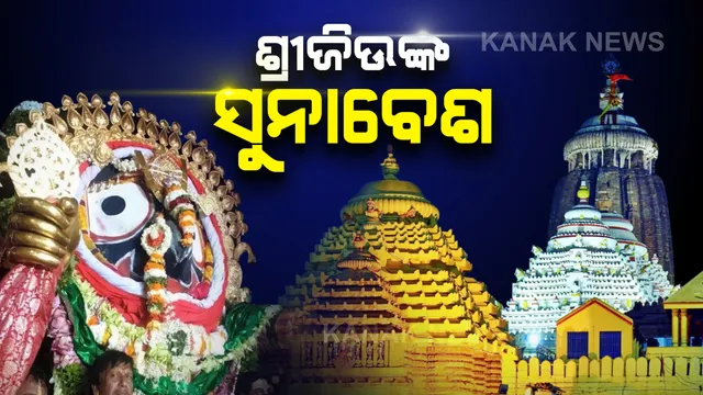 ଭକ୍ତଙ୍କୁ ସୁନାବେଶରେ ଦର୍ଶନ ଦେଲେ ମହାପ୍ରଭୁ । ଭକ୍ତଙ୍କ ସହ ରଙ୍ଗ ବି ଖେଳିଲେ ମହାବାହୁ