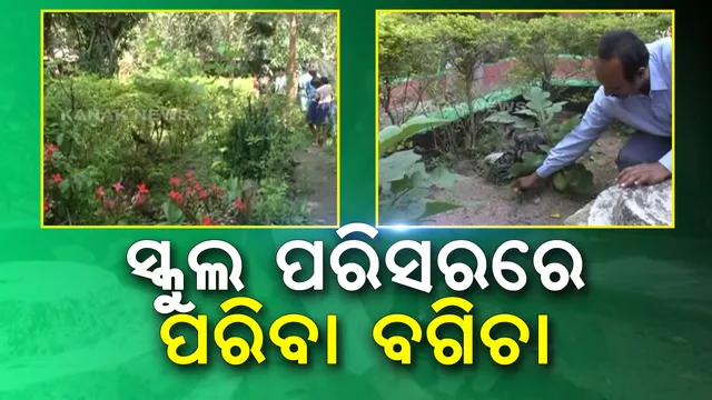 ବିଦ୍ୟାଳୟ ପରିସରରେ ପରିବା ବଗିଚା । ପିଲାଙ୍କୁ ମଧ୍ୟାହ୍ନ ଭୋଜନରେ ତଟକା ପରିବା ଦେବାକୁ ପ୍ରୟାସ, ଶିକ୍ଷକଙ୍କ ପରିବା ବଗିଚାକୁ ନେଇ ଚର୍ଚ୍ଚା ।