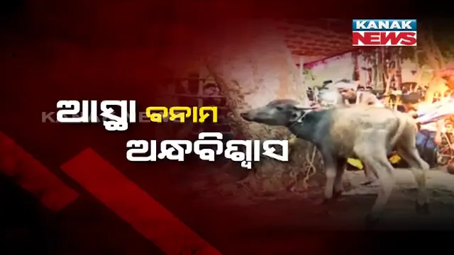 ଆଦିବାସୀଙ୍କ ଅଜବ ପରମ୍ପରା । ରକ୍ତ ରଂଜିତ ହେଲା ମାଲକାନଗିରିର ମାଉଳି ମାଆଙ୍କ ପୀଠ, ଶରୀରକୁ ଆକ୍ଷାତ ଦେଇ ଦିଶାରୀଙ୍କ ପୂଜାର୍ଚ୍ଚନା ।