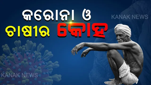 କରୋନା ମାଡରେ କାନ୍ଦୁଛି ଚାଷୀ । ତାଲାବନ୍ଦ ପାଇଁ ତଳି ତଳାନ୍ତ ଚାଷୀ । ବିଲରେ ପରିବା ପଚୁଛି, ବାଧ୍ୟହୋଇ ଚାଷୀ କମ ଦାମରେ ବିକୁଛି । କେମିତି ସୁଝିବ ଋଣ ଚାଷୀ ମୁଣ୍ଡରେ ଚିନ୍ତା ଘାରିଛି...