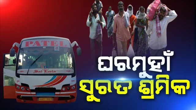 ପ୍ରାଇମ ଟାଇମ ବୁଲେଟିନ : ୨୯/୦୪/୨୦୨୦
