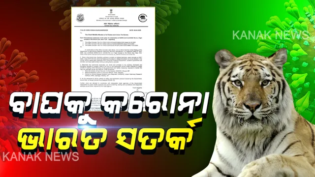 ଆମେରିକା ବାଘ ଦେହରେ କରୋନା ଭୂତାଣୁ ପରେ ସତର୍କ ଭାରତ ସରକାର: ଚିଡିଆଖାନାରେ ପଶୁପକ୍ଷୀଙ୍କ ଉପରେ ୨୪ଘଂଟିଆ ନଜର ରଖିବାକୁ ମୁଖ୍ୟ ବନ୍ୟପ୍ରାଣୀ ସଂରକ୍ଷକଙ୍କୁ ନିର୍ଦ୍ଦେଶ