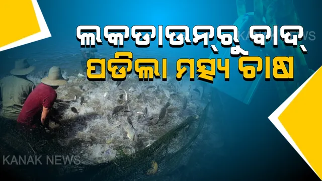 ଲକଡାଉନ କଟକଣାରୁ ବାଦ ପଡିଲା ମତ୍ସ୍ୟଚାଷ ଓ ଚାଷୀ: ମାଛ ଧରିବାକୁ ଯାଇପାରିବେ ମତ୍ସ୍ୟଜୀବୀ, ବଜାରରେ କରିପାରିବେ ବିକ୍ରି; ସମସ୍ତ ମତ୍ସ୍ୟଜାତୀୟ ସମାଗ୍ରୀ ବିକ୍ରି ଉପରୁ ଉଠିଲା କଟକଣା