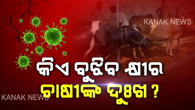 ଲକଡାଉନ ବଢ଼ାଇଲା ଦୁଗ୍ଧ ଚାଷୀଙ୍କ ଚିନ୍ତା । ମିଠା ଦୋକାନ, ଚାହା ଦୋକାନ ବନ୍ଦ, ବିକ୍ରି ହେଉନି କ୍ଷୀର । ଦୈନିକ ୧୦ ହଜାର ଟଙ୍କାର କ୍ଷତି ।