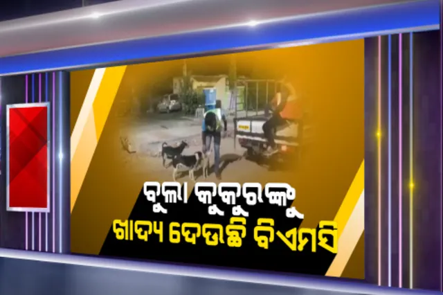 କରୋନା କଟକଣାରେ ଭୋକରେ ଡହଳବିକଳ ହେଉଥିବା ବୁଲା କୁକୁରଙ୍କୁ ଖାଦ୍ୟ ଯୋଗାଉଛି ବିଏମସି: ରାତିରେ ସ୍ୱତନ୍ତ୍ର ଗାଡିରେ ବୁଲି ୬ଟି ଟିମ୍ ପ୍ରାୟ ୩ ହଜାର କୁକୁରଙ୍କୁ ଦେଉଛନ୍ତି ଖାଦ୍ୟ