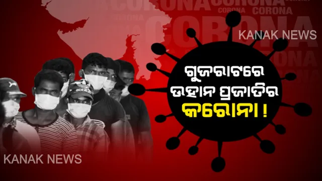 ଗୁଜରାଟରେ କାୟା ମେଲିଛି ଉହାନରେ ଦେଖାଦେଇଥିବା କରୋନାର ଏଲ ଷ୍ଟ୍ରେନ୍ ଭୂତାଣୁ । ପ୍ରବାସୀ ଶ୍ରମିକ ଫେରିବା ପରେ ରାଜ୍ୟର ବଢିବ କି ଚିନ୍ତା? ଆଣିବା ଆଗରୁ ସ୍ୱାସ୍ଥ୍ୟ ପରୀକ୍ଷା ପାଇଁ ବିରୋଧୀଙ୍କ ଦାବି ।