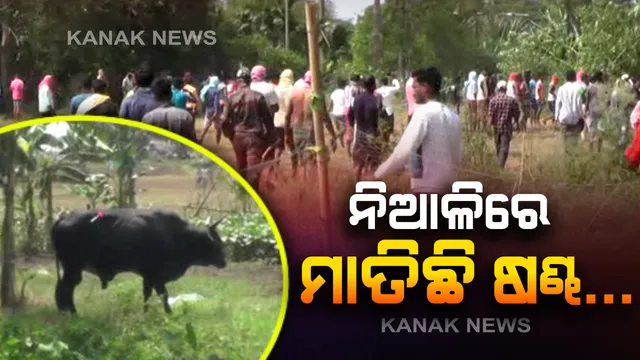 କରୋନା ସଙ୍କଟ ଭିତରେ ନିଆଳିରେ ଷଣ୍ଢ ଆତଙ୍କ । ୭ରୁ ଅଧିକ ଲୋକ ଆହତ ନାକେଦମ୍ ହେଲା ପ୍ରଶାସନ, ଟ୍ରାଙ୍କୁଲାଇଜ୍ କଲେ ନନ୍ଦନକାନନ ପ୍ରାଣୀ ଉଦ୍ୟାନ ଏକ୍ସପର୍ଟ ।