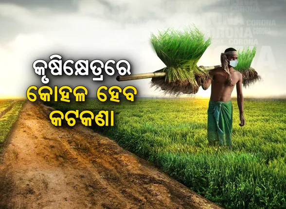 ତାଲାବନ୍ଦ ଭିତରେ ଅଟକିବନି ଚାଷ କାମ । କୃଷି କ୍ଷେତ୍ରକୁ କରାଗଲା କଟକଣାମୁକ୍ତ, ଇ-କମର୍ସ ଉପରେ ରହିବନି କଟକଣା । ହୋଟେଲରୁ ମଗାଇ ହେବ ଖାଦ୍ୟ ସାମଗ୍ରୀ ।