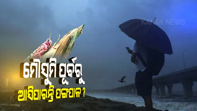 ମୌସୁମ ପୂର୍ବରୁ ଜୁନ୍ ମାସରେ ଓଡିଶାକୁ ଆସିପାରନ୍ତି ପଙ୍ଗପାଳ: ଓଡିଶା ଚାଷୀଙ୍କୁ ସଚେତନ ଓ ସତର୍କ ରହିବାକୁ ଓୟୁଏଟିର ପରାମର୍ଶ; ଗୋଲାପି ରଙ୍ଗର ପଙ୍ଗପାଳ ଅଧିକ କ୍ଷତିକାରକ