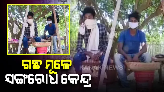 ଗଛ ମୂଳେ ସଙ୍ଗରୋଧ କେନ୍ଦ୍ର: ସମ୍ବଲପୁର ଘେନୁପାଲି ପଂଚାୟତରୁ ଆସିଲା ମାନବିକତାକୁ ଲଜ୍ଜା କଲା ଭଳି ଚିତ୍ର; ୪ ଦିନ ହେଲା ଗଛ ମୂଳେ ଅଛନ୍ତି ବାଲେଶ୍ୱର ଫେରନ୍ତା ଦୁଇ ଶ୍ରମିକ