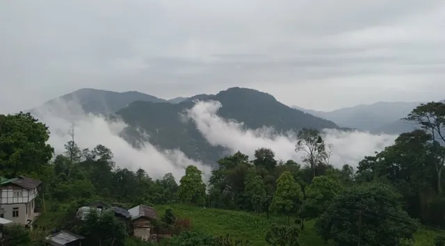 ସହରରେ ବହୁଛି ସ୍ୱଚ୍ଛ ବାୟୁ : ୧୪ଟି ସହରରେ ପ୍ରଦୂଷଣ ମାତ୍ରା ହ୍ରାସ