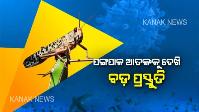 ଓଡିଶାରେ ସମ୍ଭାବ୍ୟ ପଙ୍ଗପାଳ ଆକ୍ରମଣ ନେଇ ଗୁରୁତ୍ୱପୂର୍ଣ୍ଣ ବୈଠକ । ମନ୍ତ୍ରୀଙ୍କ ଅଧ୍ୟକ୍ଷତାରେ କୃଷି ବିଭାଗର ବରିଷ୍ଠ ପଦାଧିକାରୀଙ୍କ ସହ ଆଲୋଚନା, ଚାଷୀଙ୍କ ଫସଲକୁ ସୁରକ୍ଷା ଦେବା ନେଇ ବଡ଼ଧରଣ ମନ୍ଥନ । 