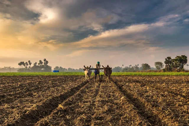 କୃଷି ‌କ୍ଷେତ୍ର ପାଇଁ ଅଧ୍ୟାଦେଶ : ବଜାର ବ୍ୟବସ୍ଥାର ସୀମା ହଟିବ, ଘରୋଇ ସଂସ୍ଥା ମଣ୍ଡି ଖୋଲିବେ