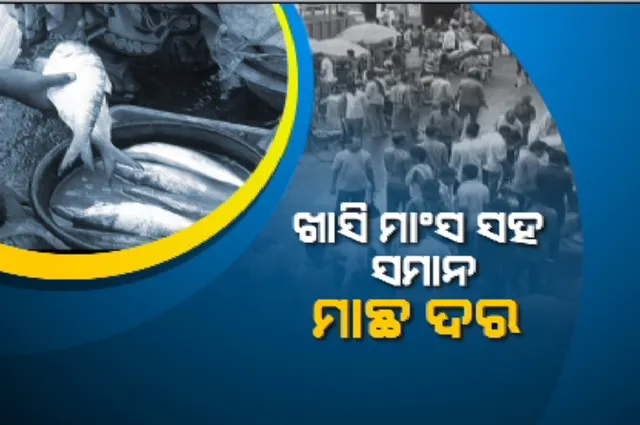 ମାଛ ବ୍ୟବସାୟ ଉପରେ କରୋନା ମାଡ଼ । କୋଭିଡ୍ କଟକଣା କଣ୍ଟା ପାଇଁ ଖାସି ମାଂସ ସହ ସମାନ ଏବେ ମାଛ ଦର ।