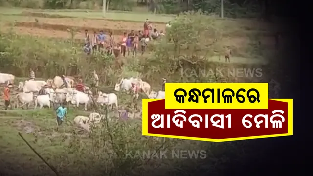 କନ୍ଧମାଳର ବ୍ରାହ୍ମଣୀ ନୂଆଗାଁ ଅଞ୍ଚଳରେ ଆଦିବାସୀଙ୍କ ମେଳି । ଜୋରଜବରଦସ୍ତ ଦଳିତଙ୍କ  ବିଲରେ ପଶି କଲେ ହଳ । ଥାନାରେ ଏତଲା । ତଦନ୍ତ ପରେ କାର୍ଯ୍ୟାନୁଷ୍ଠାନ ପ୍ରତିଶ୍ରୃତି ।