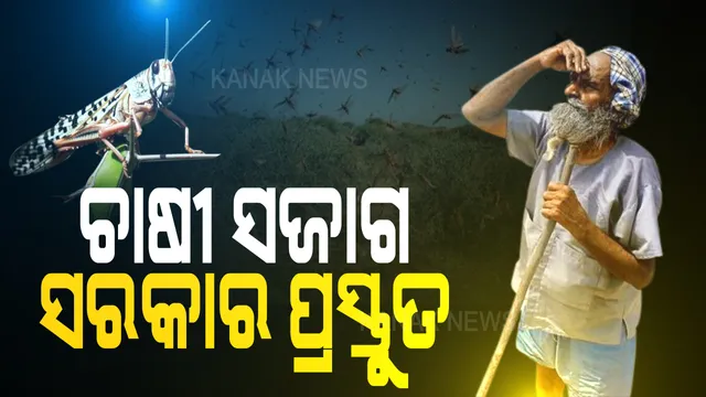 ଛତିଶଗଡରେ ପହଁଚିଥିବା ପଙ୍ଗପାଳଙ୍କ ଗତିବିଧି ଉପରେ ଓଡିଶାର ନଜର । ମୁଖ୍ୟମନ୍ତ୍ରୀ କଲେ ସମୀକ୍ଷା, ସୀମାନ୍ତ ଜିଲ୍ଲାରେ ସତର୍କ ରହିବାକୁ ନିର୍ଦ୍ଦେଶ ।
